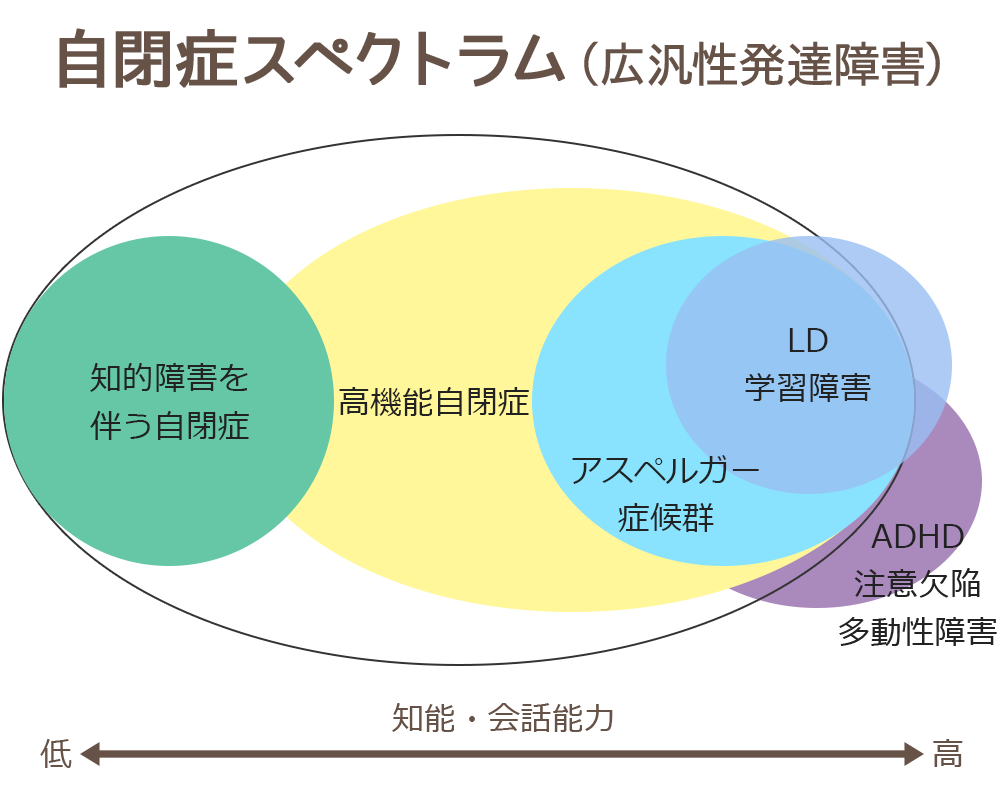 発達 障害 大人 男性 特徴