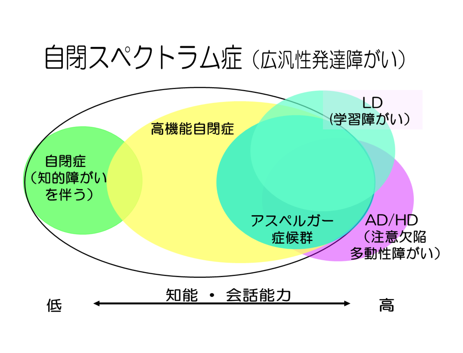 自閉スペクトラム症（広汎性発達障がい）